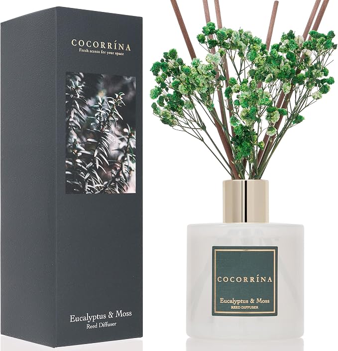 Cocorrína Reed Diffuser Sets- Eucalyptus & Moss Scented Diffuser - Image 2