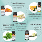 PURA D'OR Organic Sweet16 Essential Oils Set - Image 2
