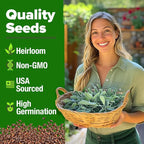 HOME GROWN Non GMO White Sage Seeds 323 Pack Heirloom Seeds - Image 2