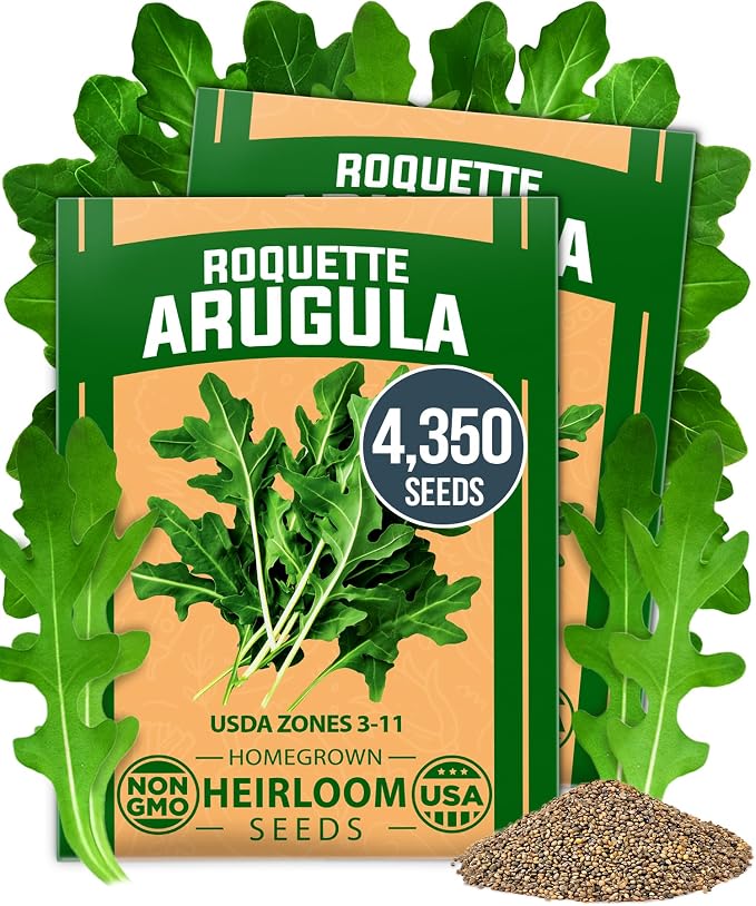 HOME GROWN Arugula Roquette Seeds 4350+ Bulk Pack Heirloom Non-GMO, High by HOMEGROWN