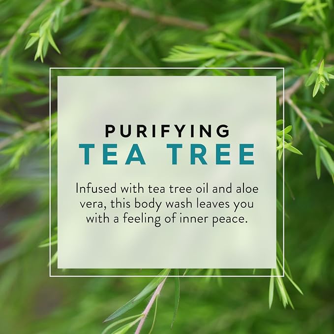 JASON Tea Tree Purifying Body Wash, - Image 3