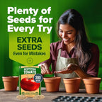 HOME GROWN Beefsteak Tomato Seeds 300+ Heirloom Non-GMO Seeds - Image 8