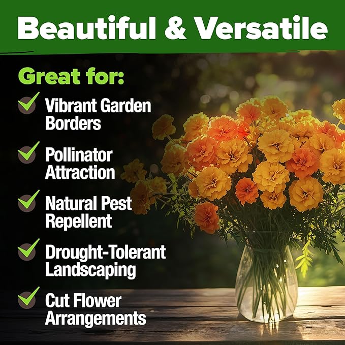 HOME GROWN Marigold Seeds Bulk Mix - Image 6