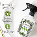 Home-Pourri Air + Fabric Multi-Purpose Odor Freshener Spray, Bamboo Rain - Image 5