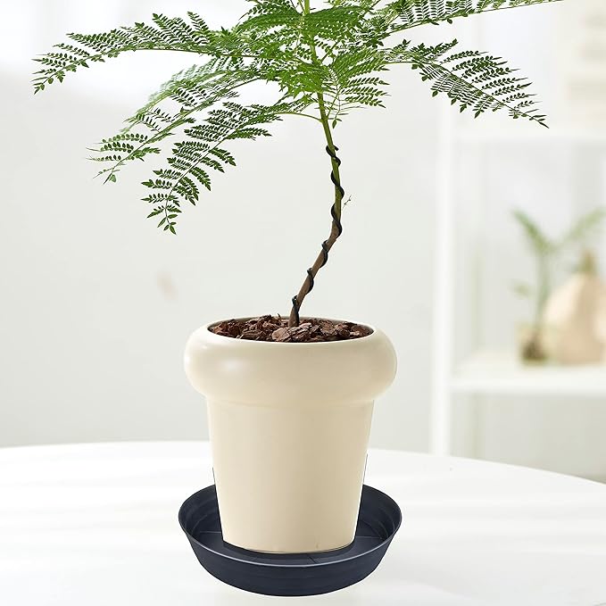 LWALRS Plant Saucer 14 Inch 2 Pack 10 12 14 16 18 20 25, Plastic Plant Trays - Image 4