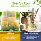 SVA Lemon Eucalyptus Essential Oil – 4 Fl Oz – 100% Natural Citriodora Oil - Image 6