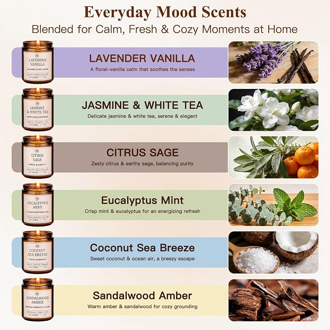 6-Pack Scented Soy Candle Set – Lavender Vanilla, Eucalyptus, Sandalwood - Image 2