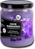 Lilac Blossom Odor Eliminating Highly Fragranced Candle by DiannesCustomCandles