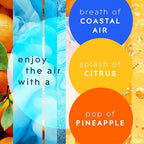 Glade PlugIns Refills Air Freshener, Scented and Essential Oils - Image 2