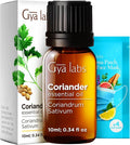 100% Pure Coriander Essential Oil by GyaLabs
