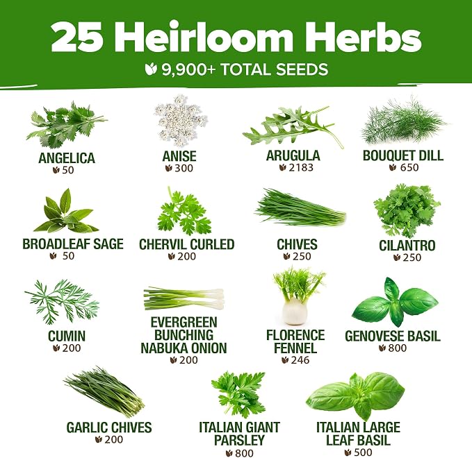 HOME GROWN 25 Herb Seeds for Planting 8, 700+ Non-GMO Heirloom Seeds | Extra - Image 3