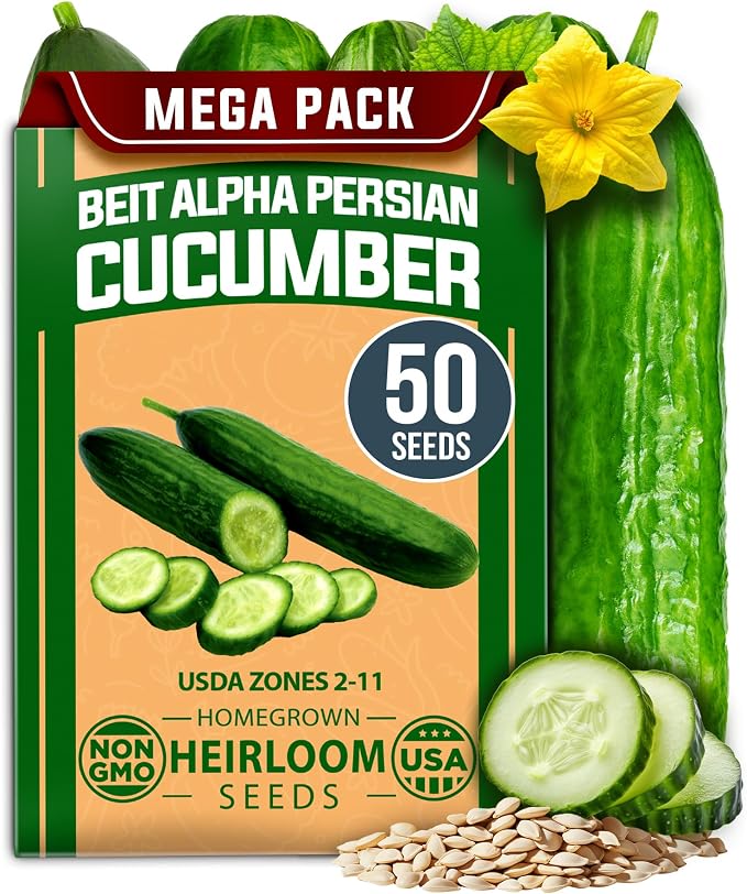 HOME GROWN Persian Cucumber Seeds 50+ Heirloom Non-GMO, Beit Alpha Variety by HOMEGROWN