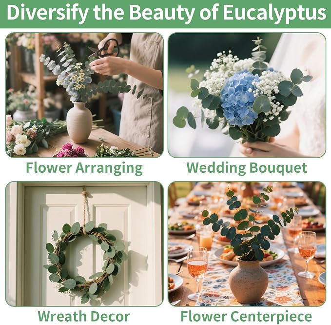 12PCS Dried Eucalyptus Bundle 17'' Real Eucalyptus Stems 100% Natural Fresh - Image 6