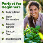 HOME GROWN Genovese Basil Seeds 2 Pack - Image 4