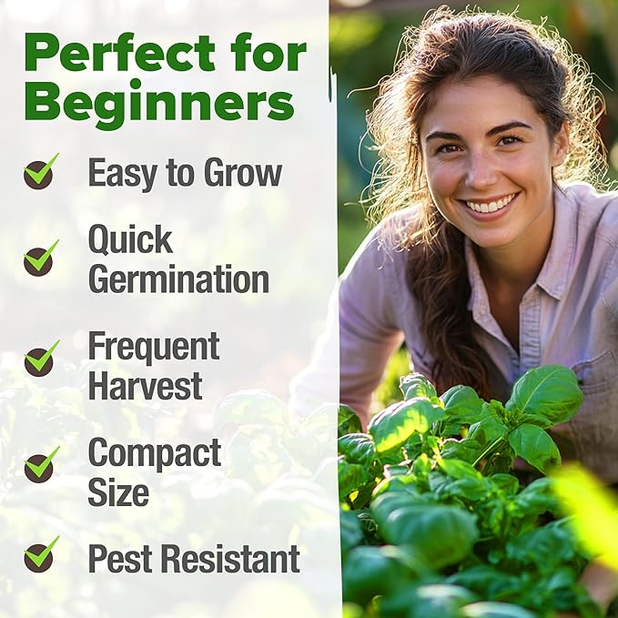 HOME GROWN Genovese Basil Seeds 2 Pack - Image 4
