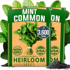 HOME GROWN Premium Common Mint Seeds 3, 600 Heirloom Herb Seeds, USA Sourced | by HOMEGROWN