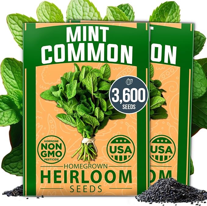 HOME GROWN Premium Common Mint Seeds 3, 600 Heirloom Herb Seeds, USA Sourced | by HOMEGROWN