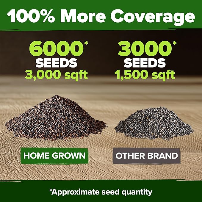 HOME GROWN American Legion Red Poppy Seeds - Image 3