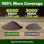 HOME GROWN American Legion Red Poppy Seeds - Image 3