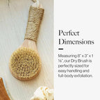 Esker Dry Brush: Skin Exfoliating Full Body Brush - Image 6