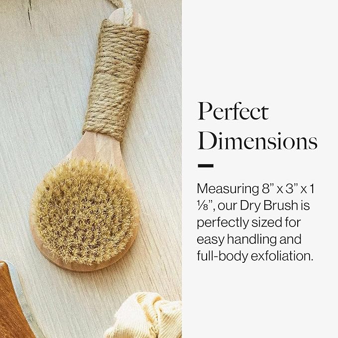 Esker Dry Brush: Skin Exfoliating Full Body Brush - Image 6