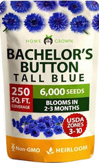 HOME GROWN Bachelor Button Seeds Tall Blue by HOMEGROWN