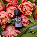 Edens Garden Lavender-Bulgarian Essential Oil- 100% Pure Premium Grade - Image 2