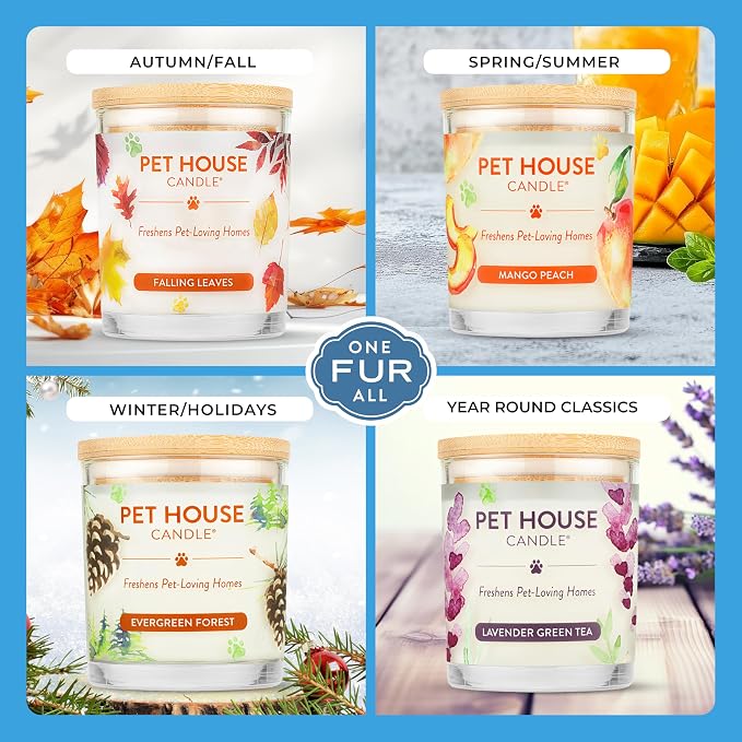 Pet House Candles, Plant-Based, Long Lasting, Clean Burning Scented Pet Odor - Image 4