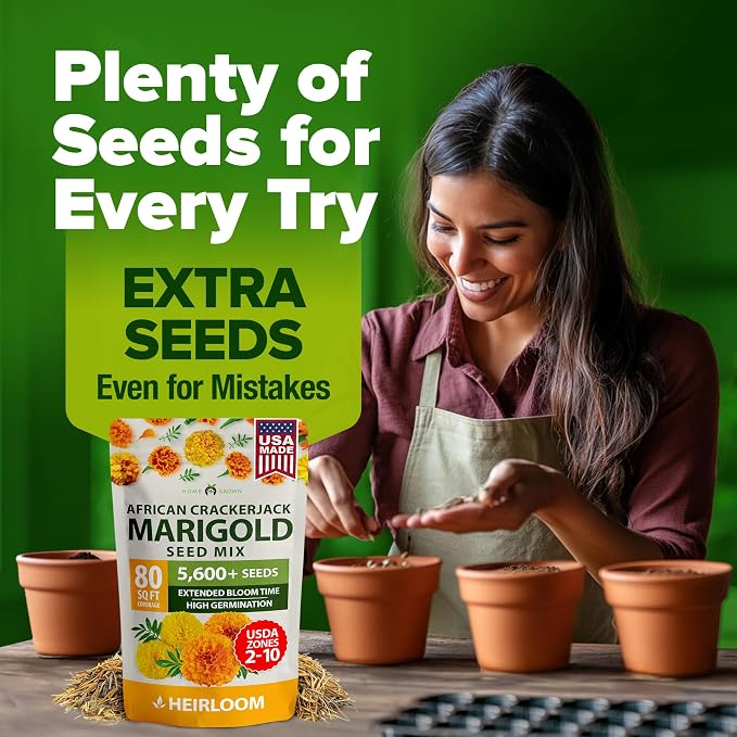 HOME GROWN Marigold Seeds Bulk Mix - Image 7