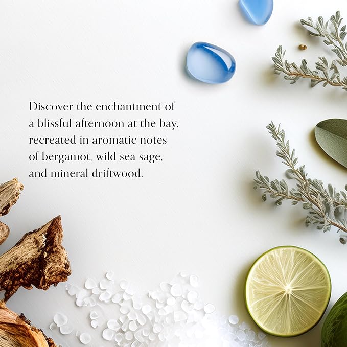 Chesapeake Bay, 14.5oz Serene Waters Scented Candle, Mood Evoking Fragrance - Image 3