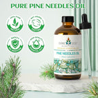 EVOKE OCCU Pine Essential Oil for Diffuser, Fresh Pine Scent for Aromatherapy - Image 7