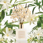 COCORRÍNA Reed Diffuser - Image 4