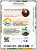 Seed Needs Blue Hubbard Winter Squash Seeds - Image 2