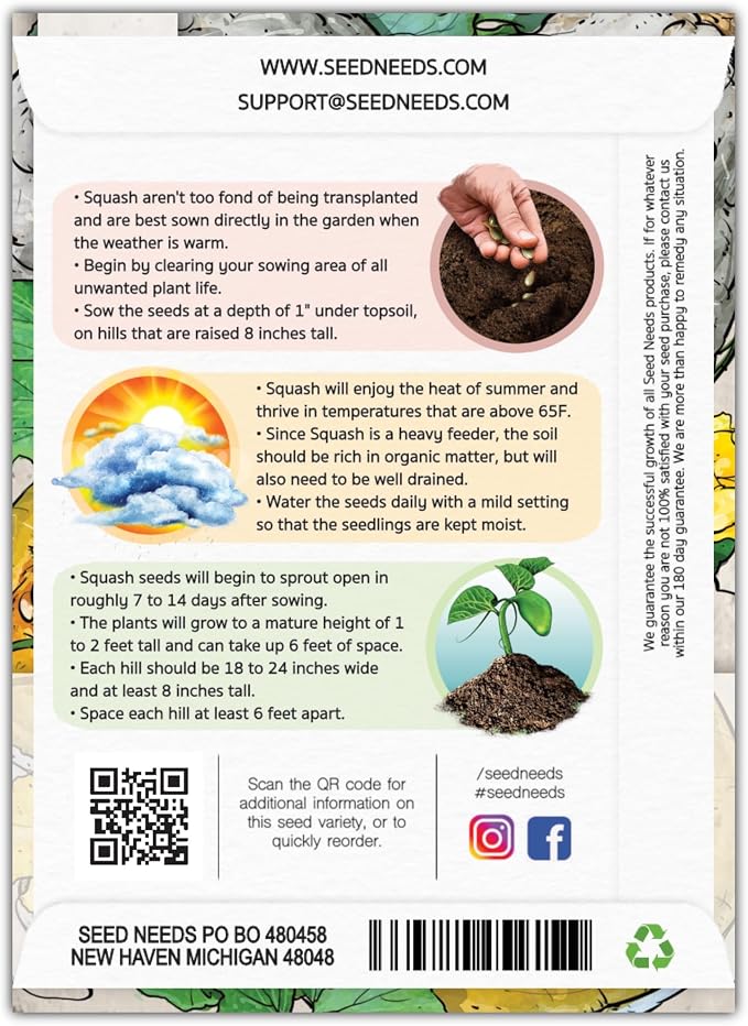 Seed Needs Blue Hubbard Winter Squash Seeds - Image 2