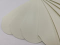 180 GRIT Stainless Steel Pedicure File Refill Pads by LEDMask