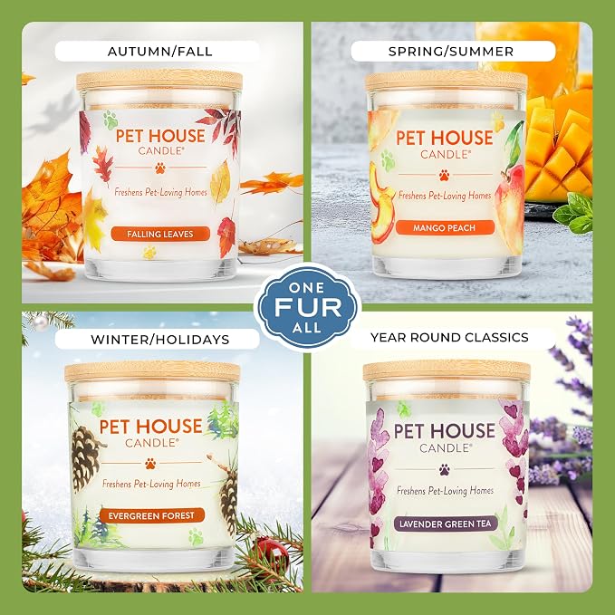 Pet House Candles, Long Burning Scented Candles - Image 4