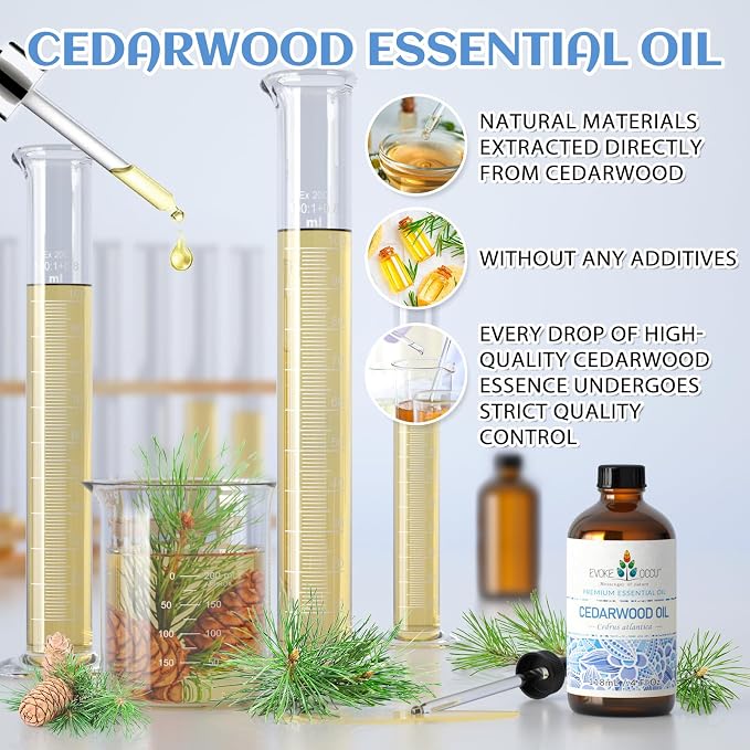 EVOKE OCCU Cedarwood Essential Oil - Image 7