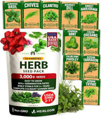 HOME GROWN 10 Herb Seeds for Planting 3, 000+ Non-GMO Heirloom Seeds | Extra by HOMEGROWN