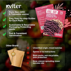 KVITER 75 Top Pick Pinkeye Cow Pea Seeds - Image 5