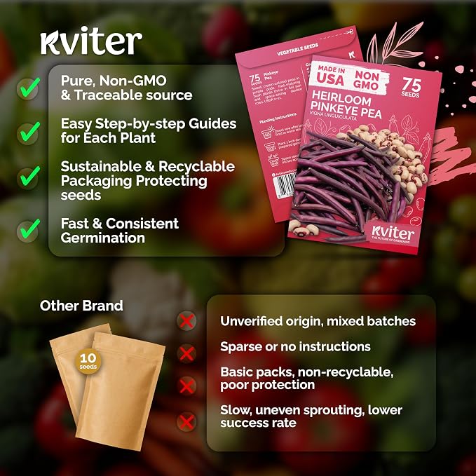 KVITER 75 Top Pick Pinkeye Cow Pea Seeds - Image 5