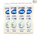 Dial Body Wash, Healthy Hydration, Coconut Milk + Vitamin E, 16 fl oz, Leaves by DialSoap