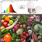 G40 1.5W Low Wattage Led Bulb Equivalent 15 Watt Light Bulbs Standard E26 Base - Image 5