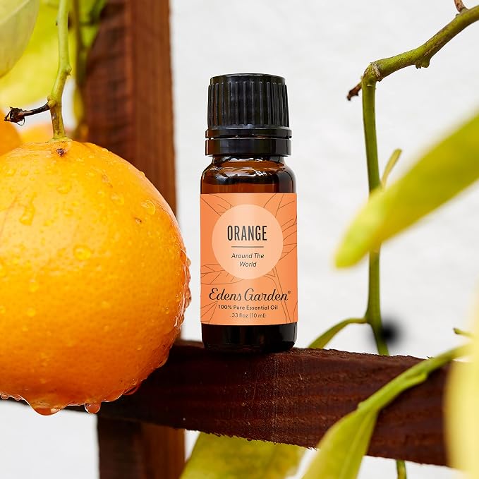 Edens Garden Orange Around The World Essential Oil- 100% Pure Premium Grade - Image 2