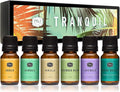 P&J Trading Fragrance Oil Tranquil Set | Vanilla, Cucumber Melon, and Ocean by PJTrading
