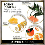 Urban Naturals Car Air Freshener Diffuser 3 Pack - Image 4
