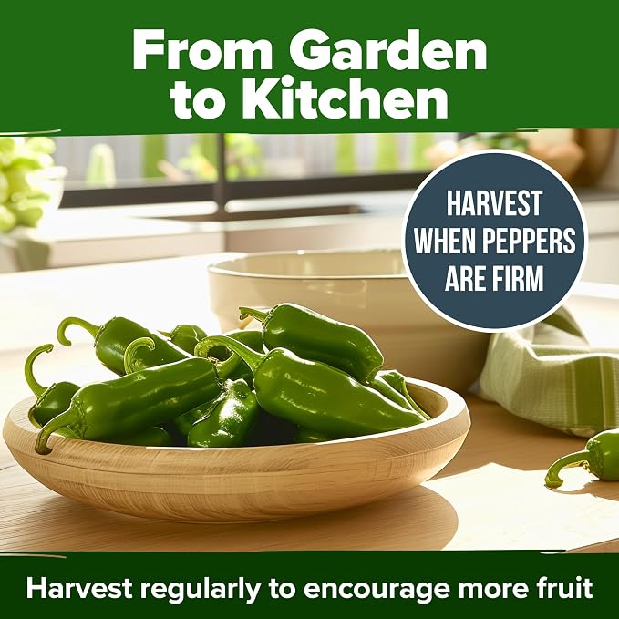 HOME GROWN Jalapeno Pepper Seeds 129+ Heirloom Non-GMO Seeds - Image 8