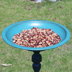 26.6”H×12.3" W Cast Iron Pedestal Bird Bath，Metal Birdbaths Bird Feeder Seed - Image 5