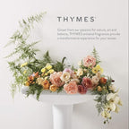 Thymes Home Fragrance Mist – Room Air Fresheners - Image 7