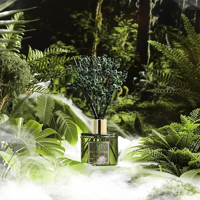 COCORRÍNA Reed Diffuser - Image 3