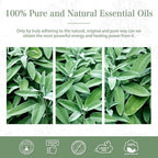 PHATOIL 3.38FL.OZ Clary Sage Essential Oil - Image 6